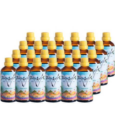 24 Bitters Ricanti Naranxa 100 ML
